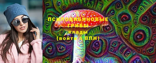 дурь Арсеньев