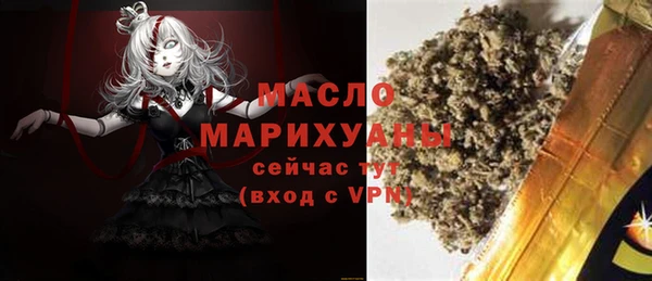 хмурый Аркадак