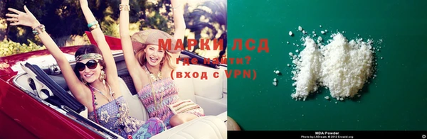 хмурый Аркадак