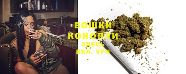 дурь Арсеньев