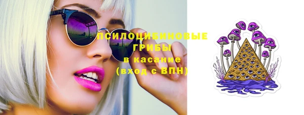 хмурый Аркадак