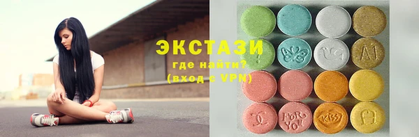 хмурый Аркадак