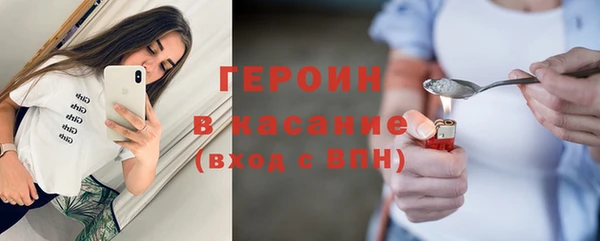 индика Няндома