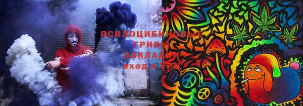дурь Арсеньев