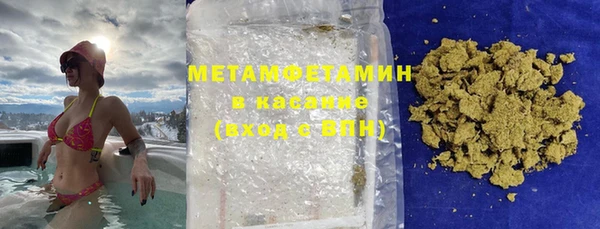 хмурый Аркадак