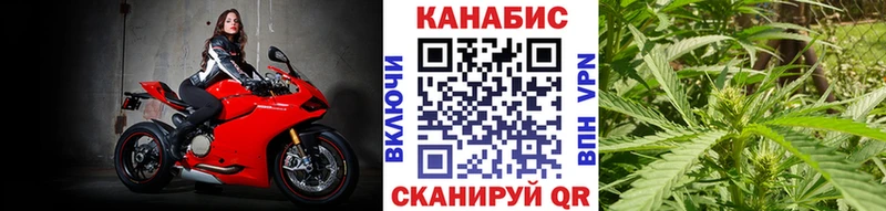 Каннабис Amnesia  Балтийск 